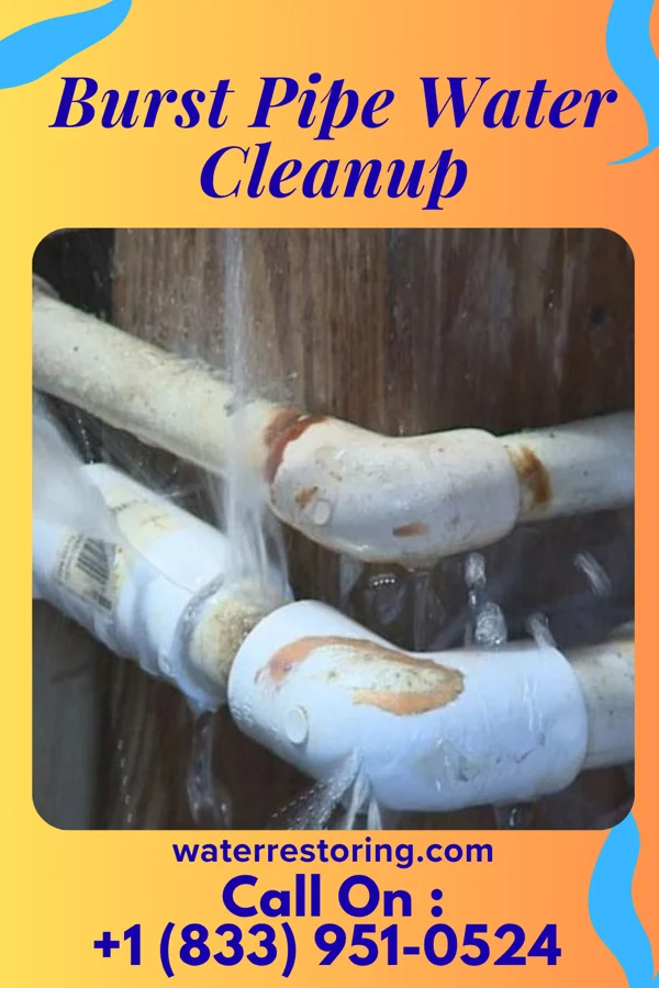 Burst Pipe Water Cleanup in Embreeville, TN