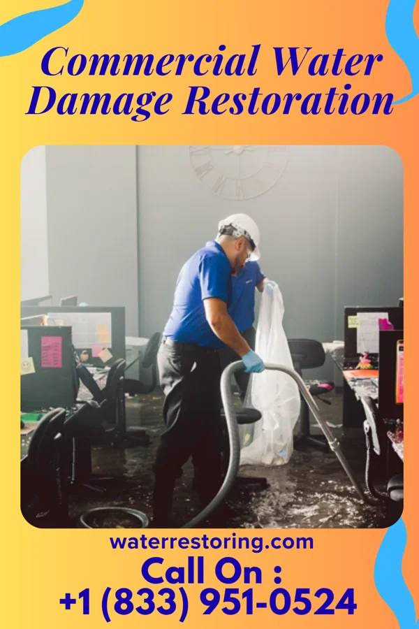 Commercial Water Damage Restoration in Embreeville, TN