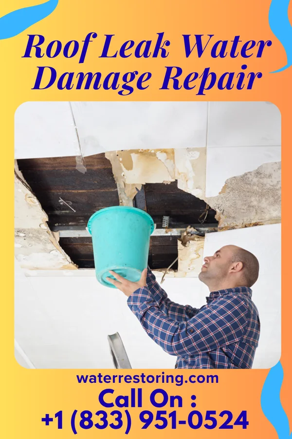 Roof Leak Water Damage Repair in Embreeville, TN