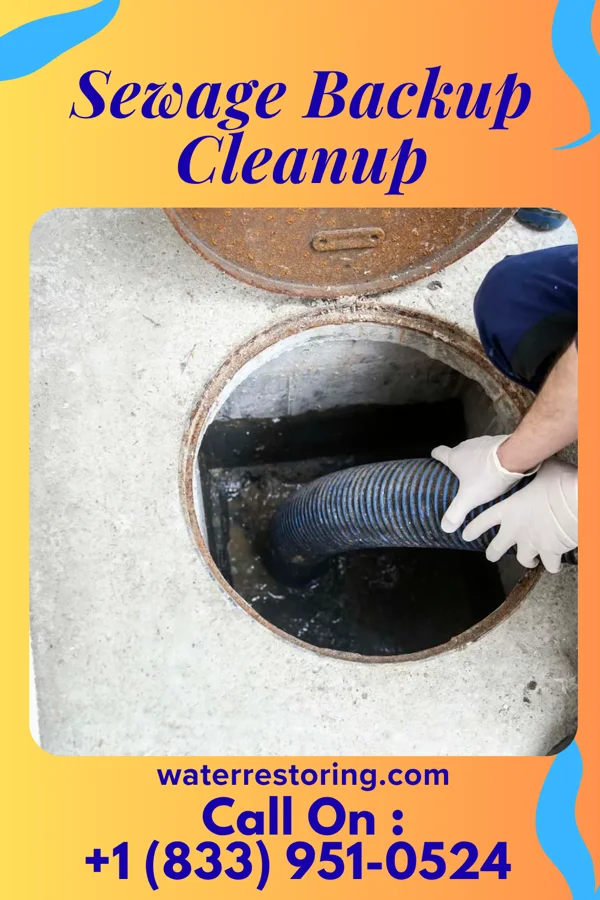 Sewage Backup Cleanup in Embreeville, TN