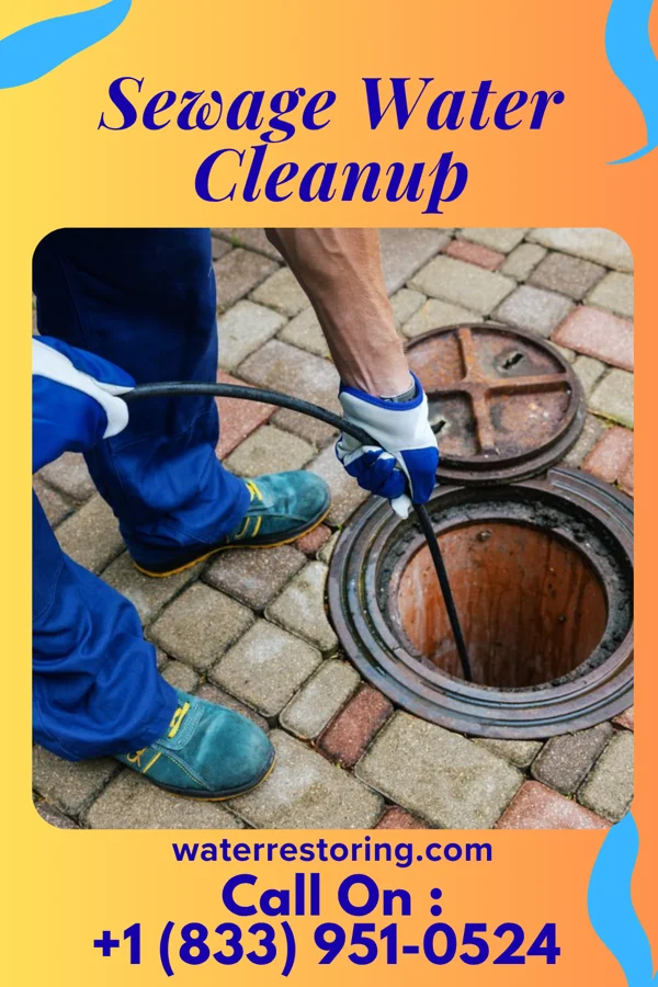 Sewage Water Cleanup in Embreeville, TN